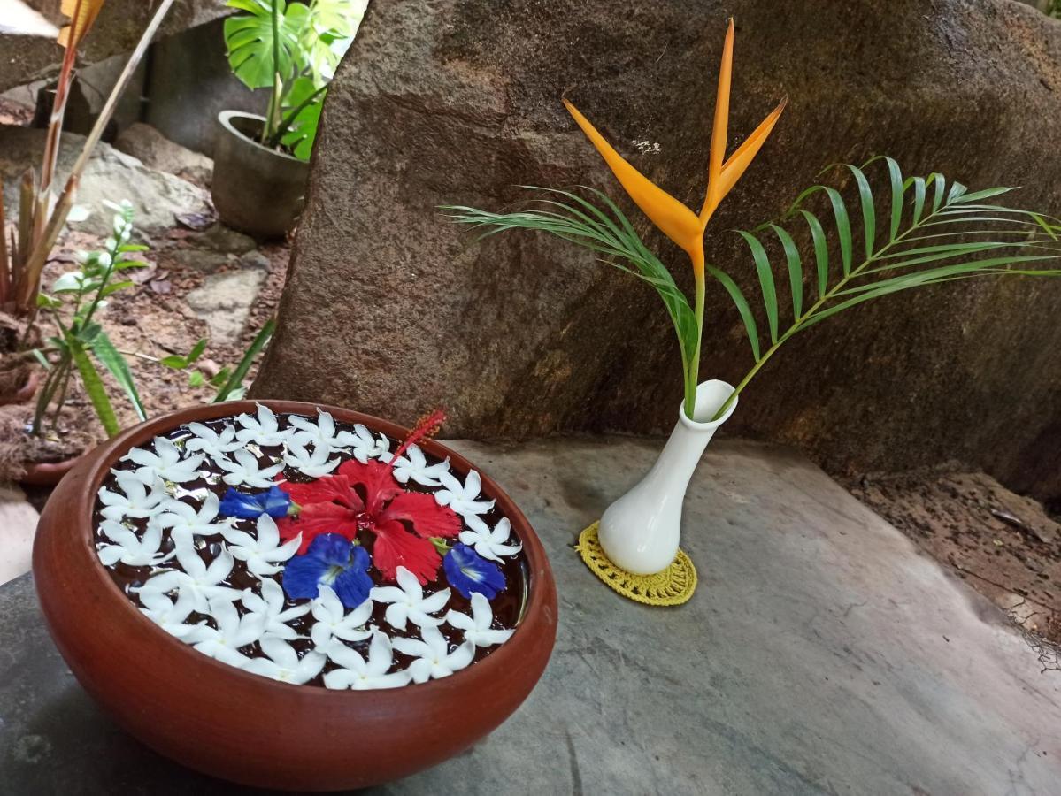 Butterfly Jewel Bed and Breakfast Unawatuna Εξωτερικό φωτογραφία
